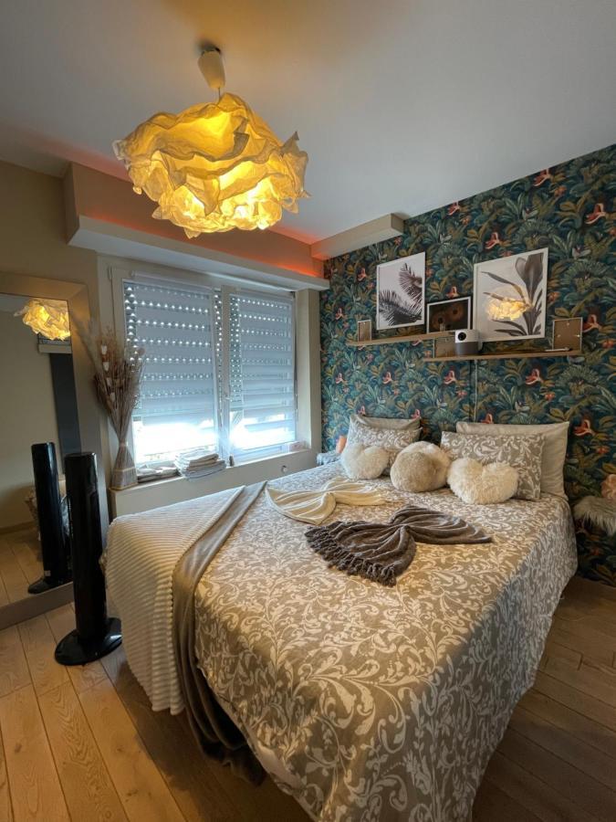 Guest Room "We Are With You In This Flat" Strasbourg Kültér fotó